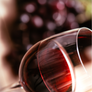 Che Uvaggio! - degustazione per due persone -